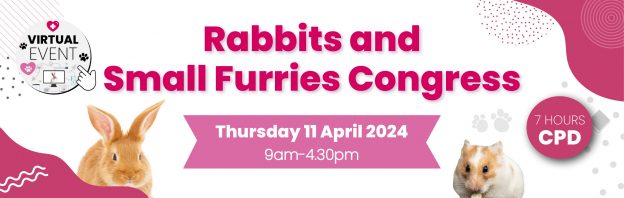 Rabbits and Small Furries Congress 2024