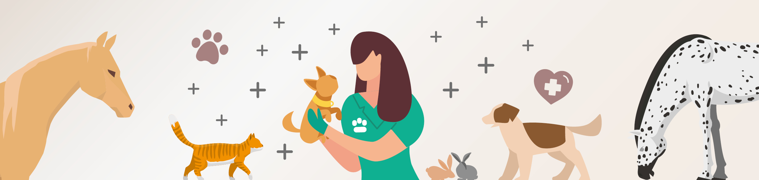 Veterinary Nursing Awareness Profile