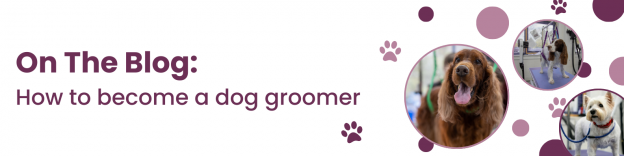 how to become a dog groomer blog banner
