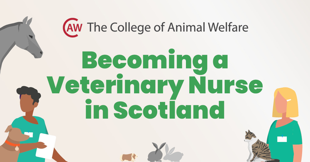 How to become a veterinary nurse in Scotland