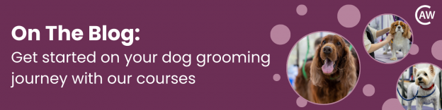 Get started on your dog grooming journey Blog Banner