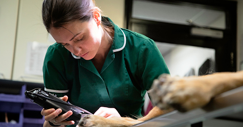 Level 5 Advanced Diploma in Veterinary Nursing Practice Nurse